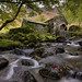 An autumnal day in the Lakes . . . Explore 17-12-2021 #10